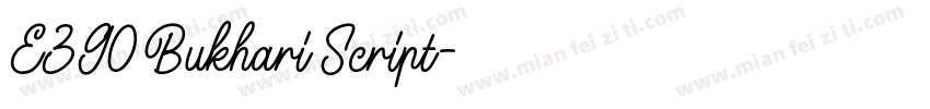 E390 Bukhari Script字体转换